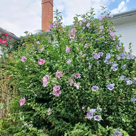 Blues Aparthotel Kőszeg